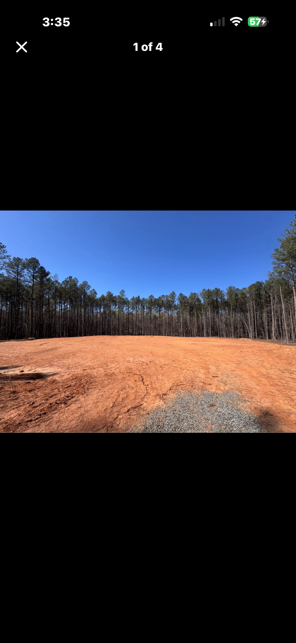 Partially mulched wooded lot — trees thinned and ground cleared